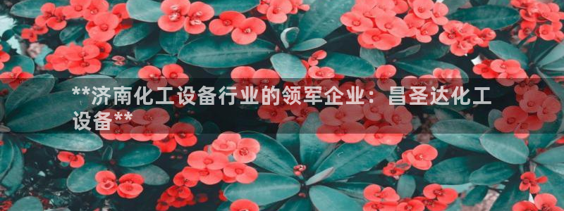 新城平台终7O777