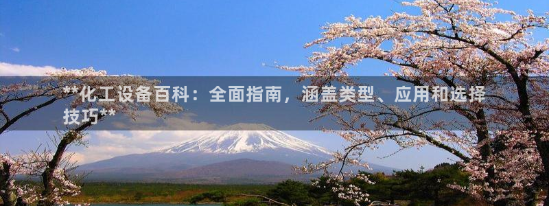 新城平台注册公司流程图