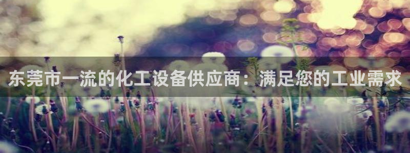 新城平台注册登录地址是什么