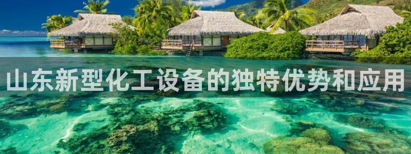 新城平台登录入口官网首页查询