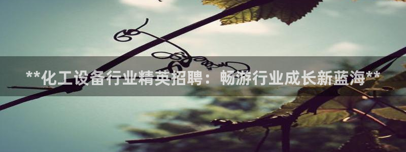 新城平台注册登录地址怎么填
