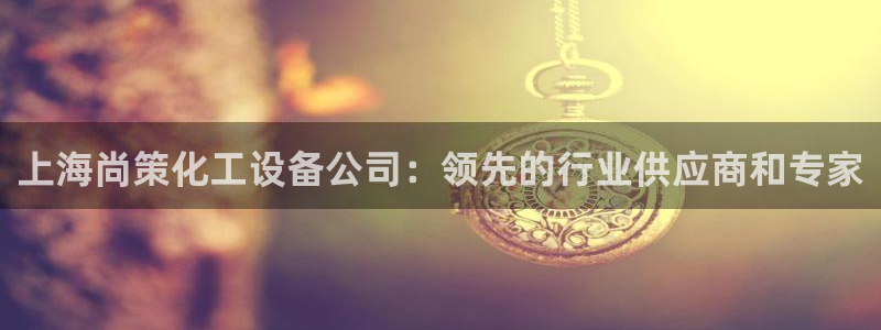 新城平台总代理是谁