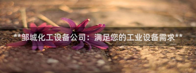 新城平台登录入口官网下载app