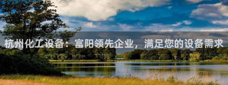 新城平台总代