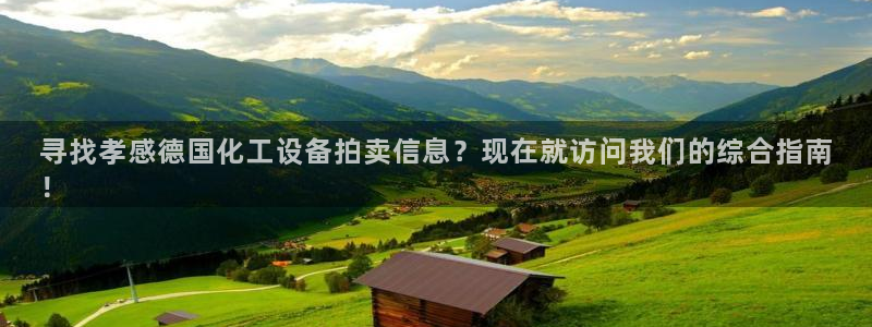 新城平台入.新城平台.全国联网是什么意思