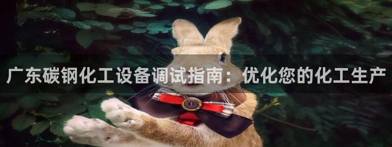 新城平台属于哪个系列