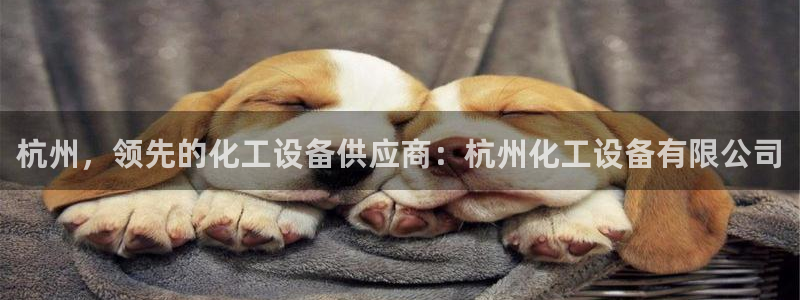 新城平台是正规平台吗