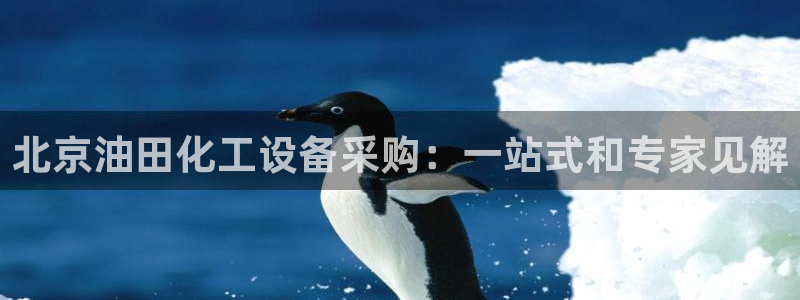 新城平台负责人电话