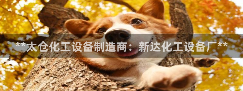 新城平台线路登录不上去怎么办