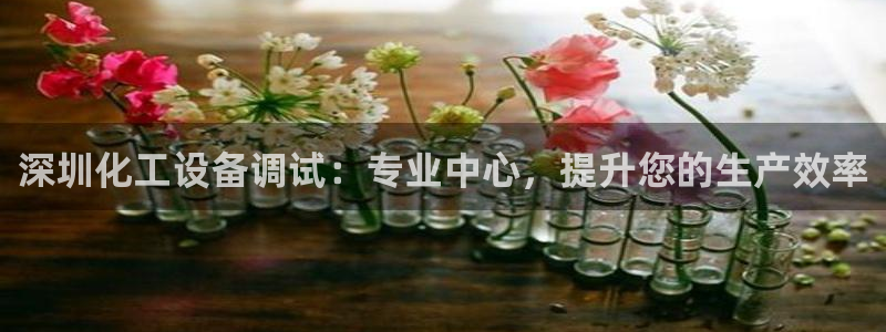 新城平台代理