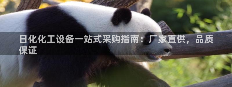 新城平台登录入口官网网址是多少