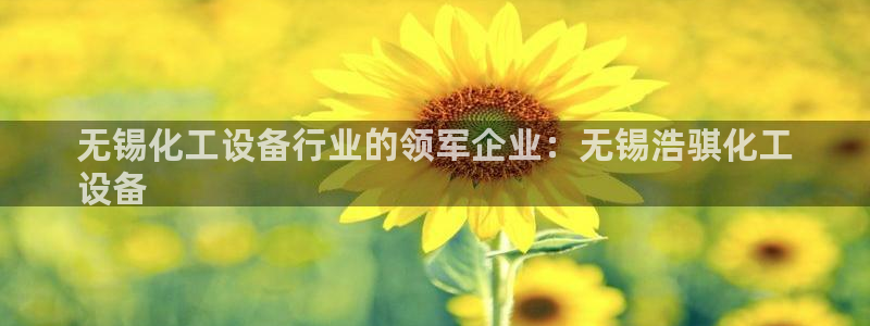 新城平台注册流程