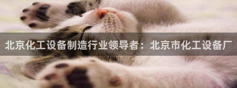 新城平台官网注册入口