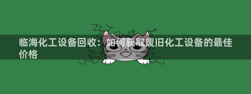 新城平台总代