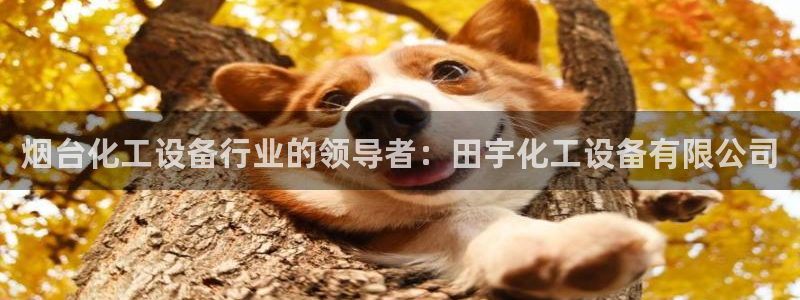 新城平台注册登录地址