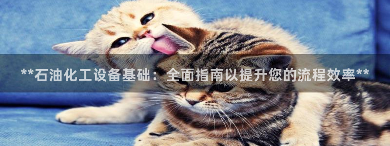新城平台是干嘛的