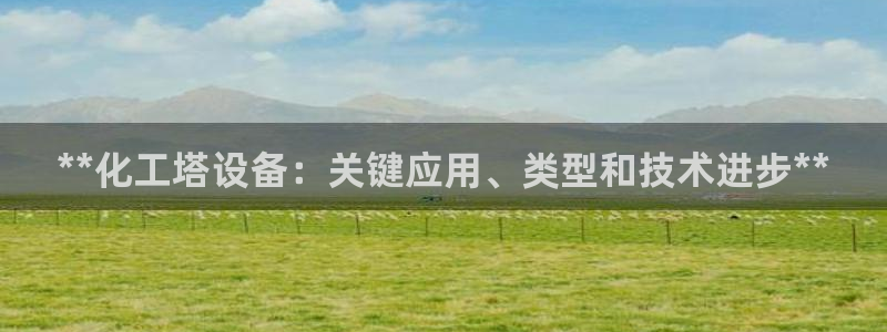 新城平台登录入口官网查询