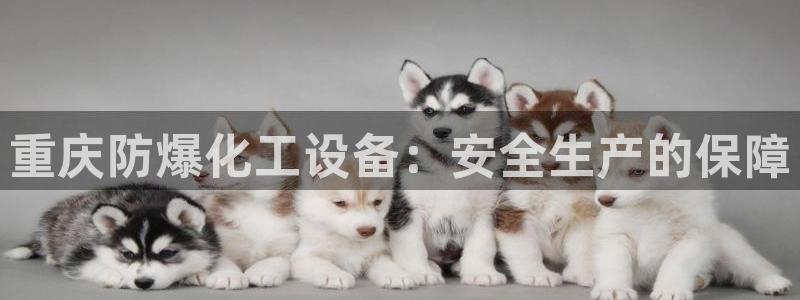新城平台官网