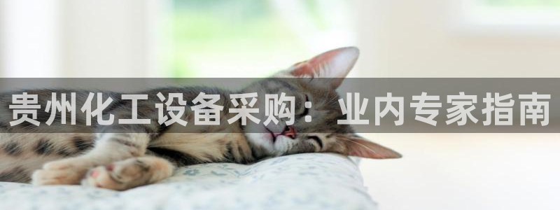 新城平台注册登录地址怎么填