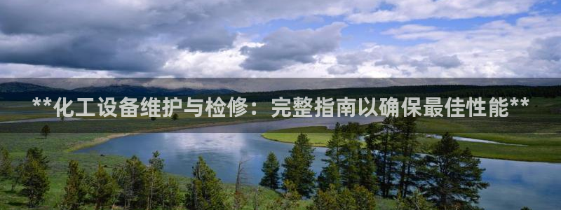 新城平台总代理是谁