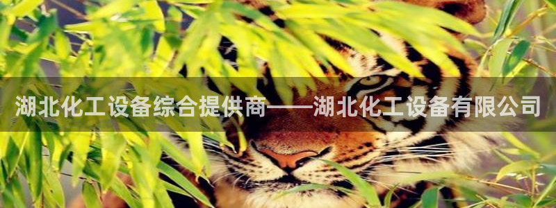 新城平台注册公司流程