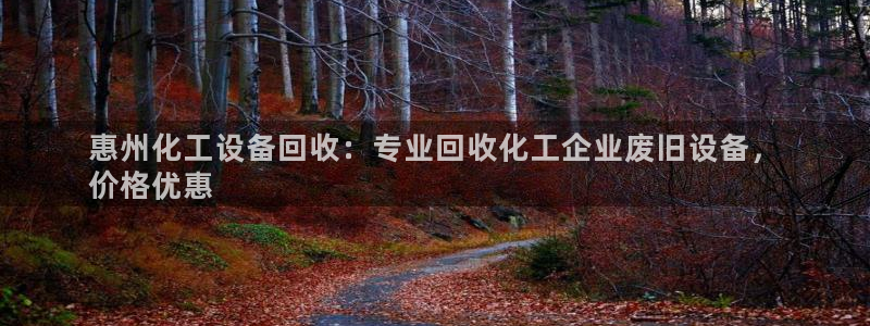 新城平台登陆