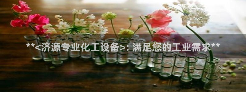 新城平台注册公司流程图