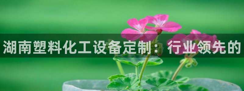 新城平台注册公司流程图