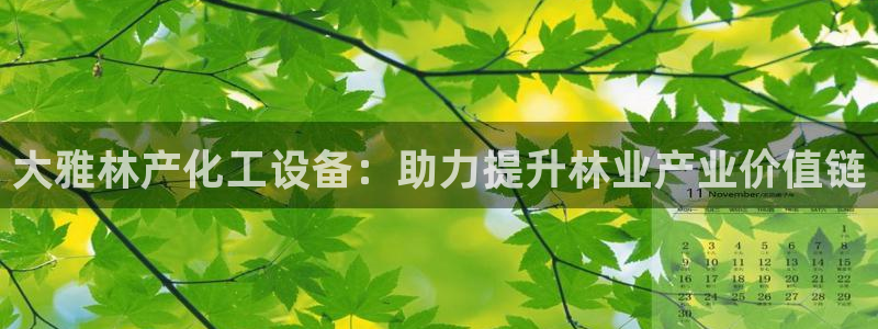 新城平台线路登录不上去了怎么办