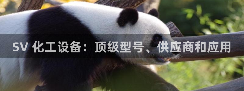 新城平台官网首页