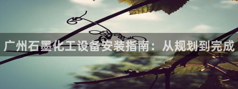 新城平台登录入口官网查询