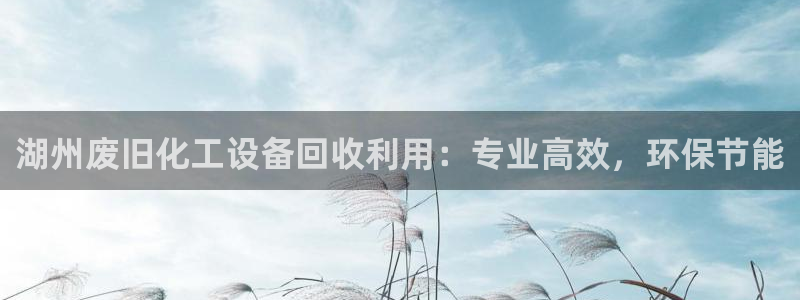 新城平台登陆