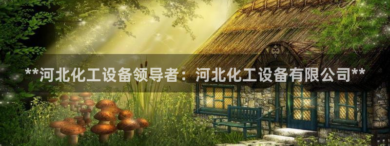 新城平台登录密码忘了怎么改：**河北化工设备领导者