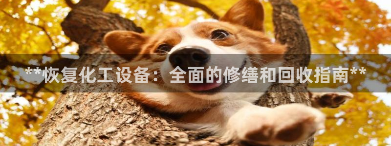 新城平台授权注册