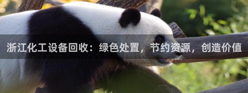 新城平台官网首页