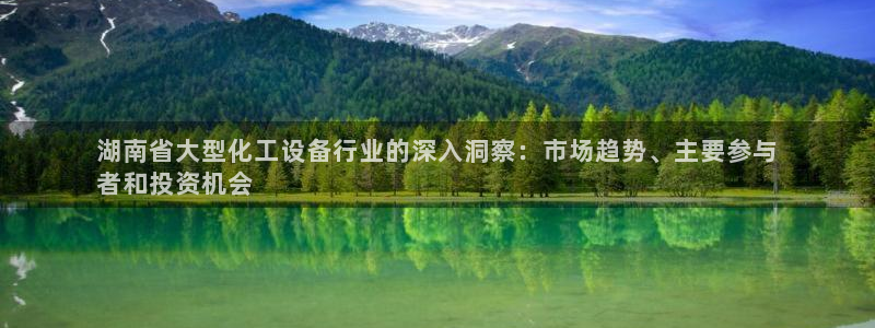新城平台登录入口官网查询系统：湖南省大型化工设备行