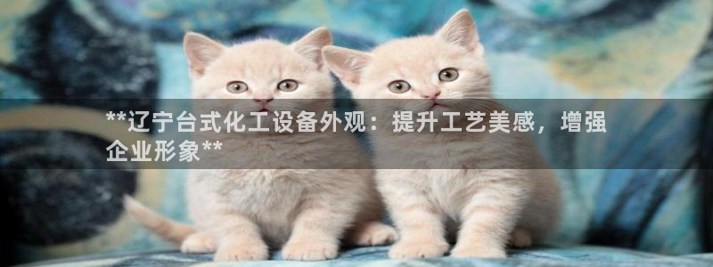 新城平台登录入口网址