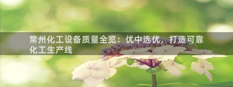 新城平台登录入口官网查询网址