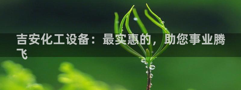 新城平台注册登录地址是什么