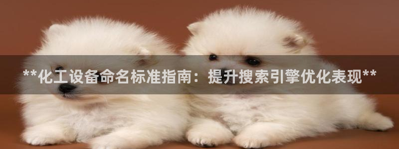 新城平台登录入口官网下载手机版