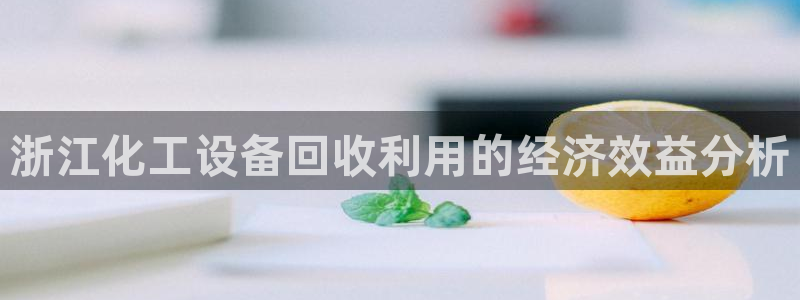 新城平台登录入口官网网址查询