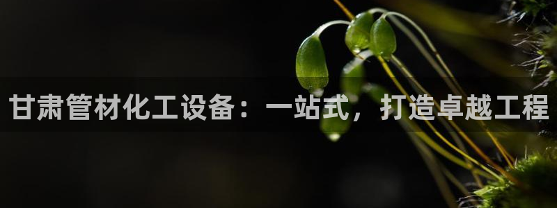 新城平台登录密码忘了