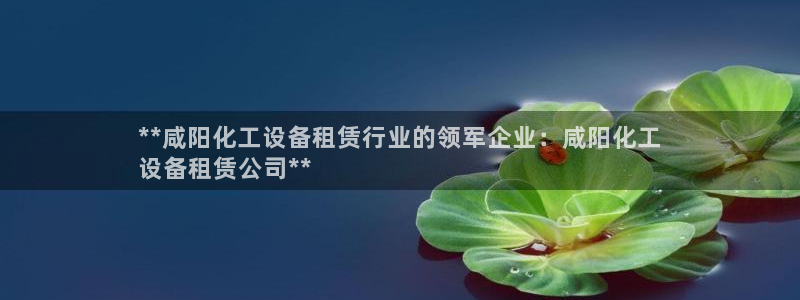 新城平台注册资金多少亿