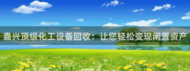 新城平台代理怎么样