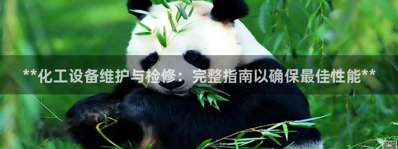 新城平台登录密码忘了