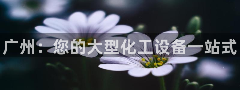 新城平台登录入口官网网址是多少