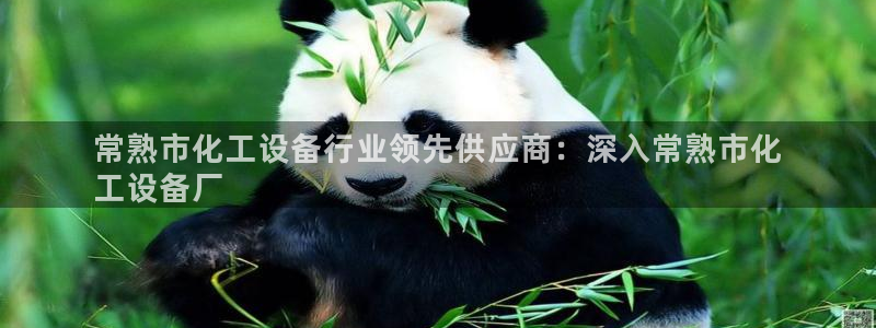 新城平台登录入口官网下载手机版