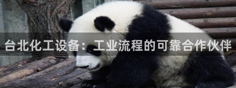 新城平台线路登录不上去怎么办呀