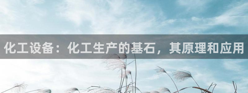 新城平台登录入口官网首页查询