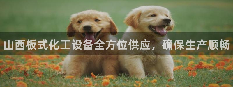 新城平台登录入口网站